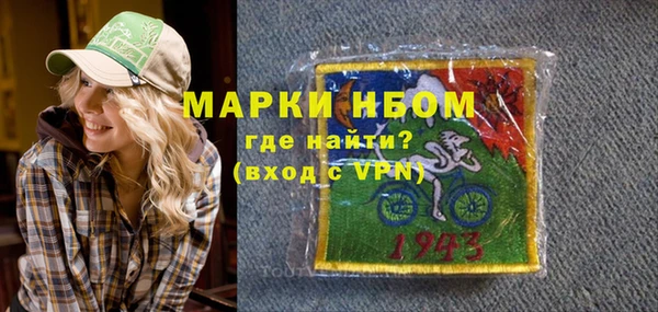 шишки Верея