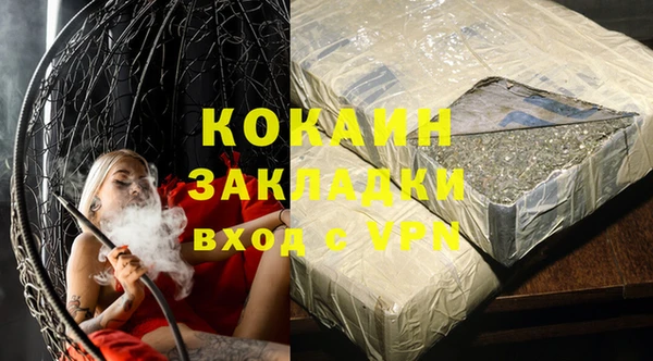 шишки Верея