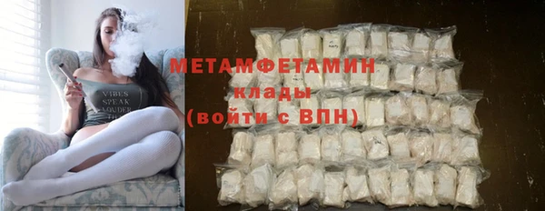 шишки Верея