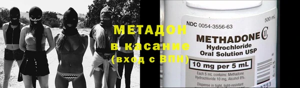 шишки Верея