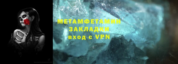 шишки Верея