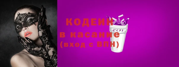 шишки Верея