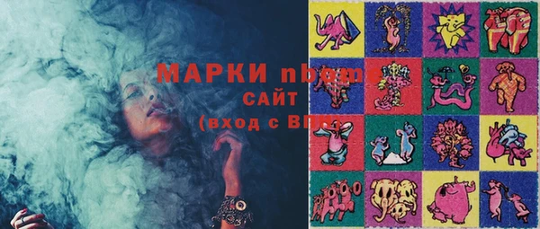 шишки Верея