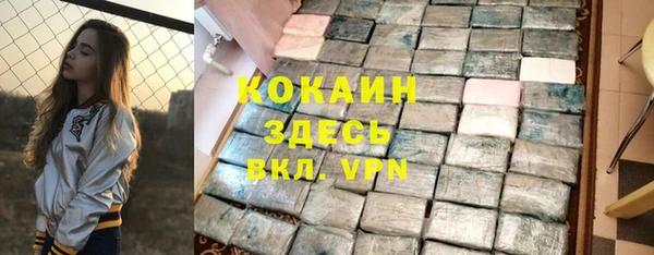 шишки Верея