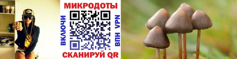 Купить  Краснознаменск  Галлюциногенные грибы мицелий 